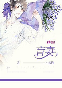 盲妻【完本】